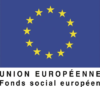 LOGO_FSE_UE